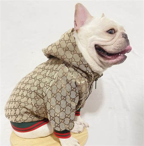 gucci dog clothing|designer clothes for small dogs.